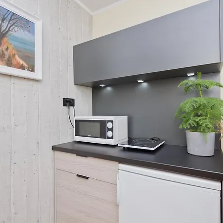 Viki Guest house
