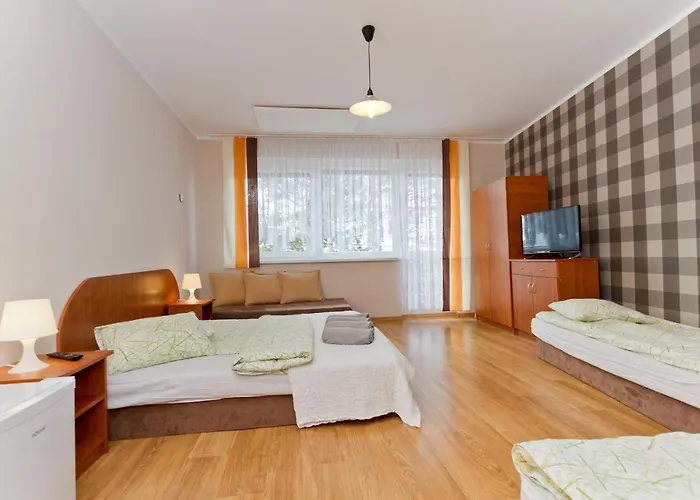 Viki بيت ضيافة