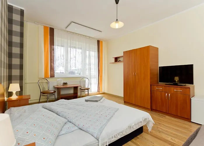 Viki Jastrzębia Góra