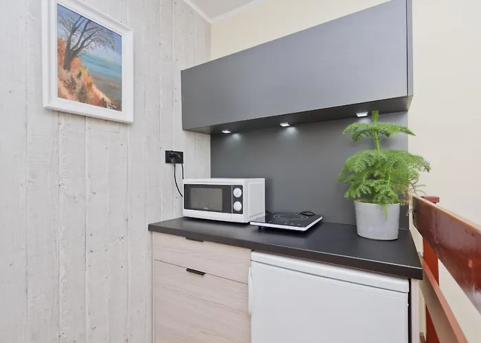 Viki بيت ضيافة